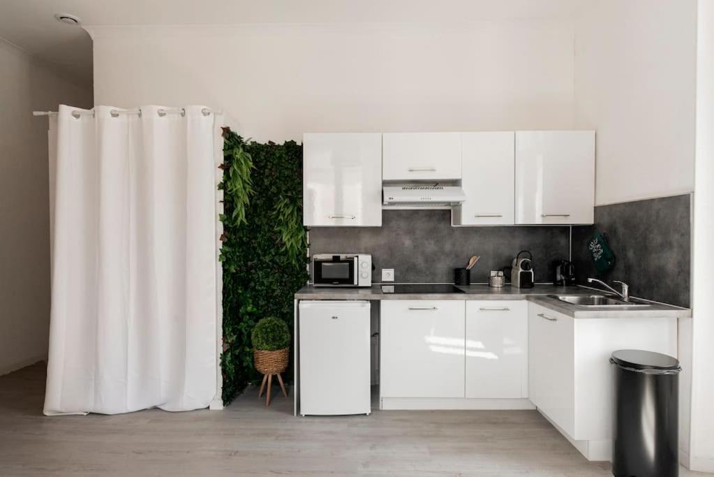 Charmant Studio Arbore Et Climatise Carcassonne Exteriör bild